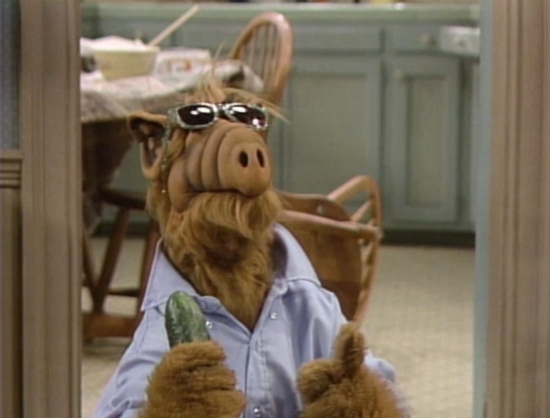 ALF’s Wardrobe – ALF Archives