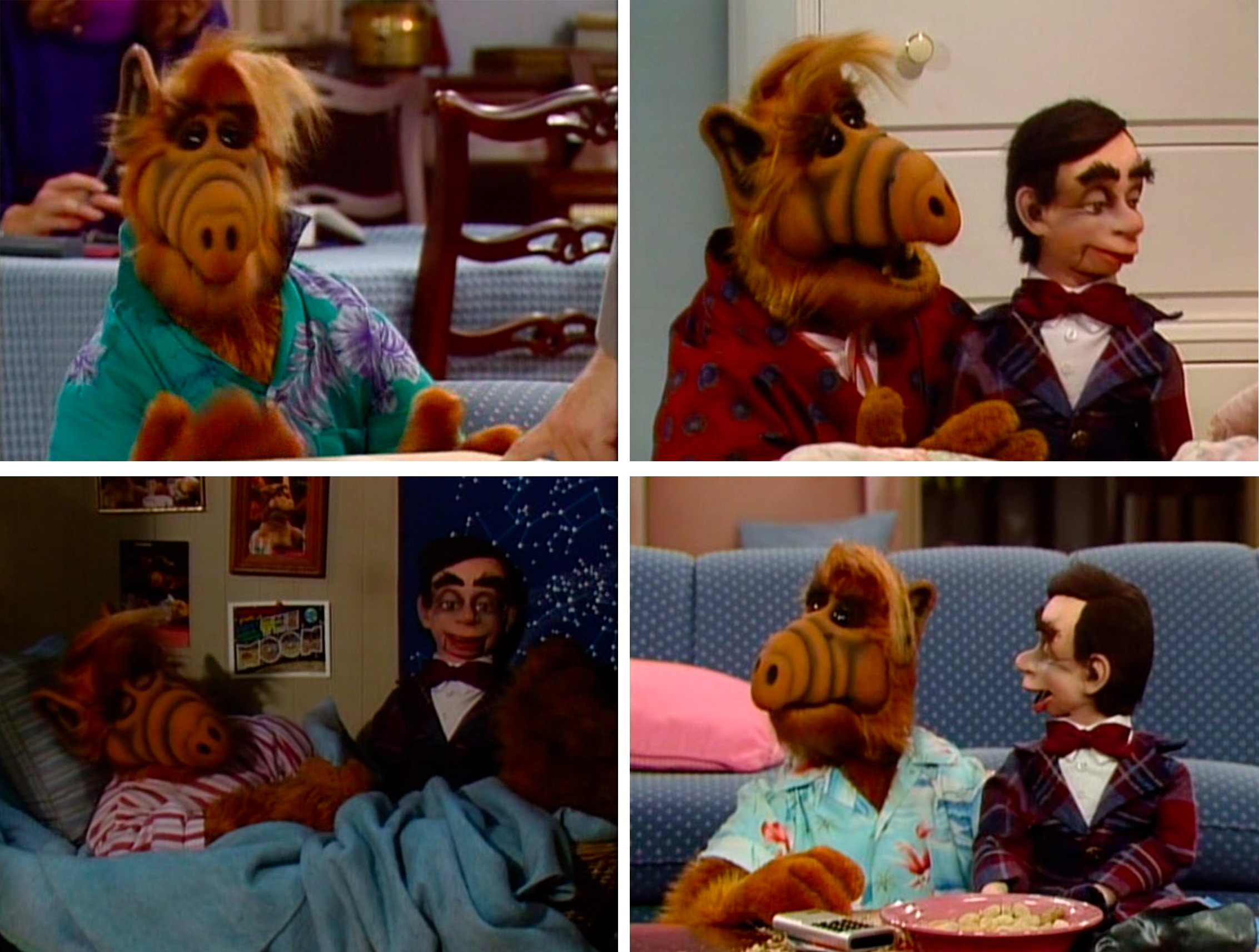 ALF's Wardrobe (Season 2) – ALF Archives